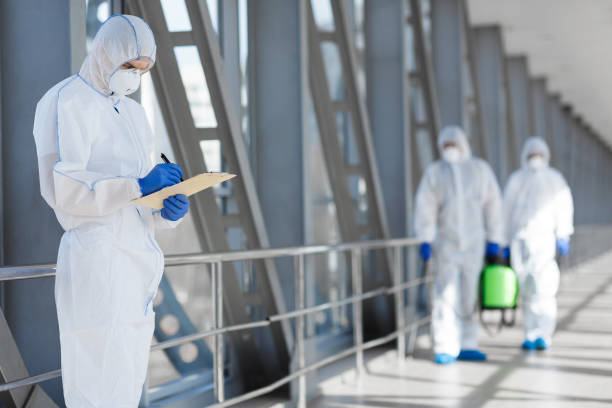 Lake Marcel Stillwater, WA Mold Removal Company
